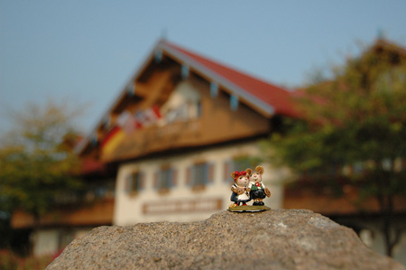 300DSC_0351