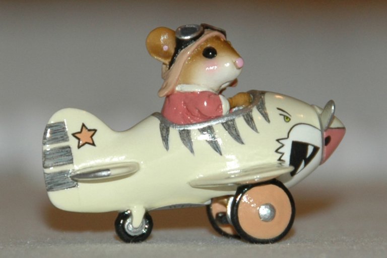 M-309_Pedal_Plane_tiger
