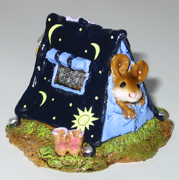 MS-16_Camping_Out_FTF2006_blue_right
