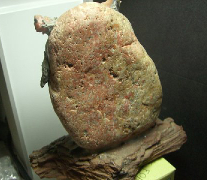 NoNum_Stone_Owl_back
