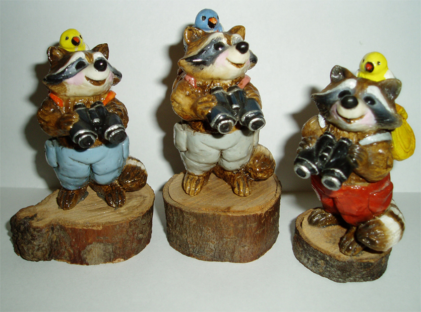 RC-3_Bird_Watcher_Raccoon_trio