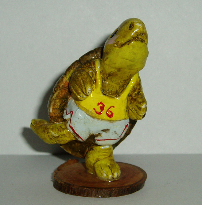TS-1 Turtle Jogger