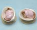 M-289a_Wee_Sea_Baby_pink_baby_letters_pict2