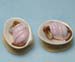 M-289a_Wee_Sea_Baby_plain_pink_pict2