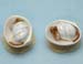 M-289a_Wee_Sea_Baby_white_pict2